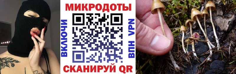 Псилоцибиновые грибы ЛСД  Николаевск-на-Амуре 